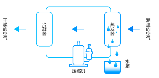 工业除湿机的工作原理与应用场合